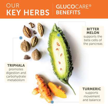 Himalaya GlucoCare – Herbal Glucose Metabolism & Pancreatic Support with Bitter Melon, Gymnema, Triphala & Turmeric – Natural Blood Sugar Support – Vegan, Non-GMO - dailyvitalstore