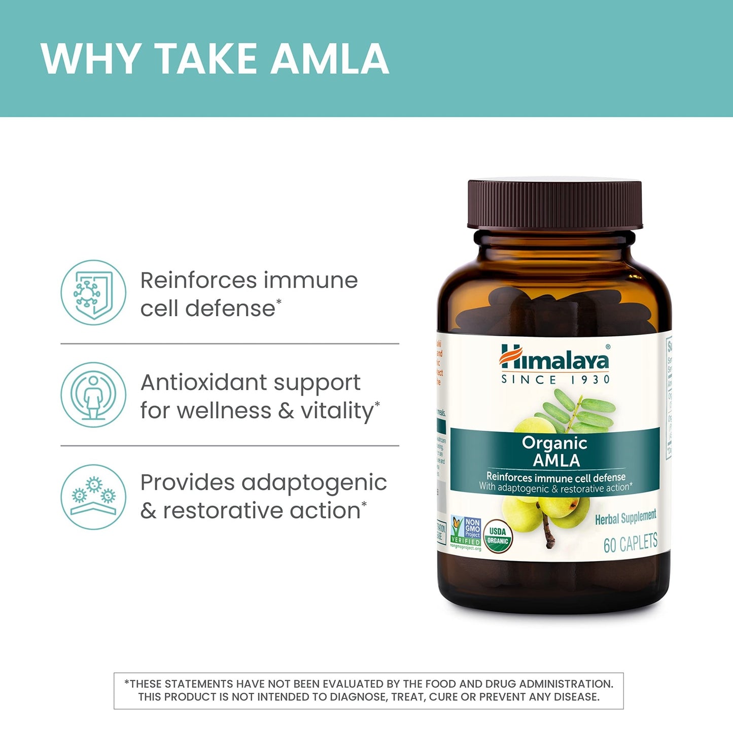 Himalaya Organic Amla - Herbal Immune Support Supplement with Adaptogen and Antioxidant - USDA Organic, Vegan, Non-GMO, Gluten Free, 600 mg, 60 Caplets - dailyvitalstore