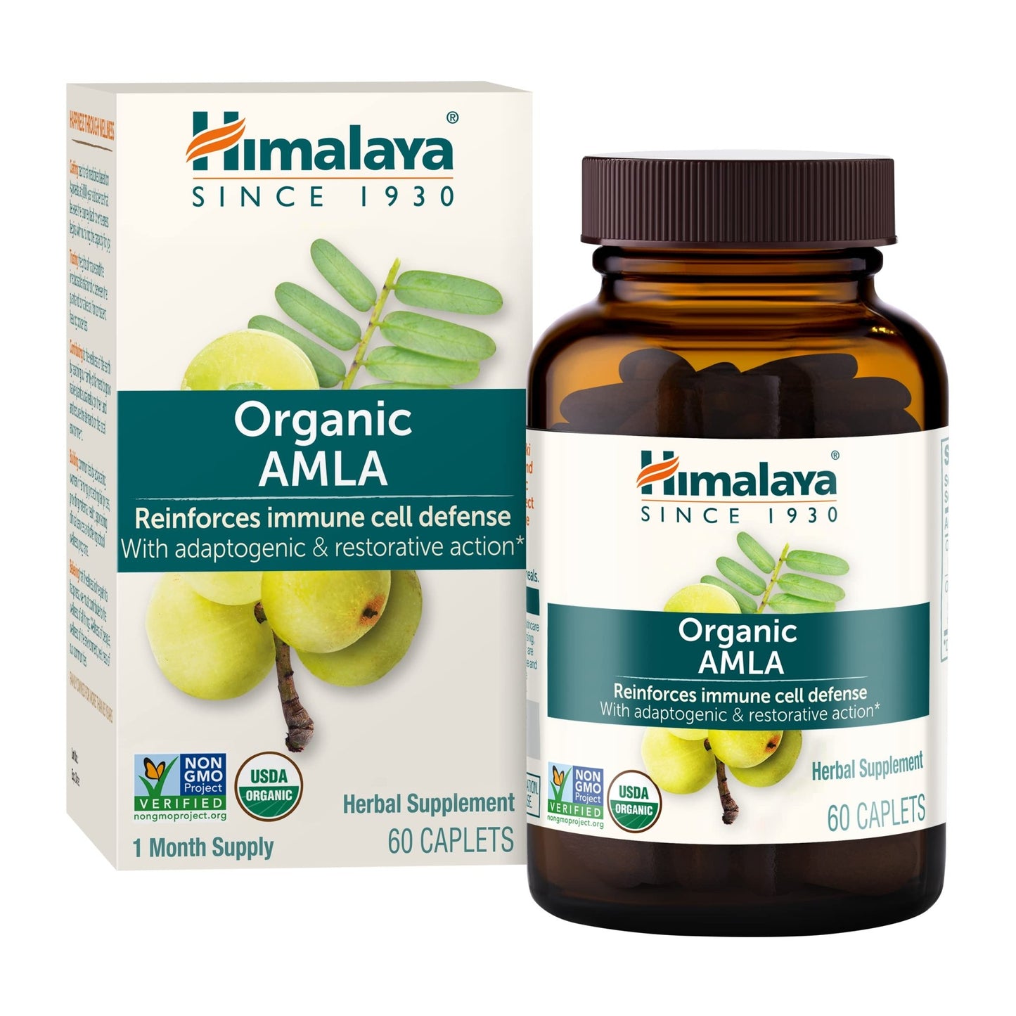 Himalaya Organic Amla - Herbal Immune Support Supplement with Adaptogen and Antioxidant - USDA Organic, Vegan, Non-GMO, Gluten Free, 600 mg, 60 Caplets - dailyvitalstore