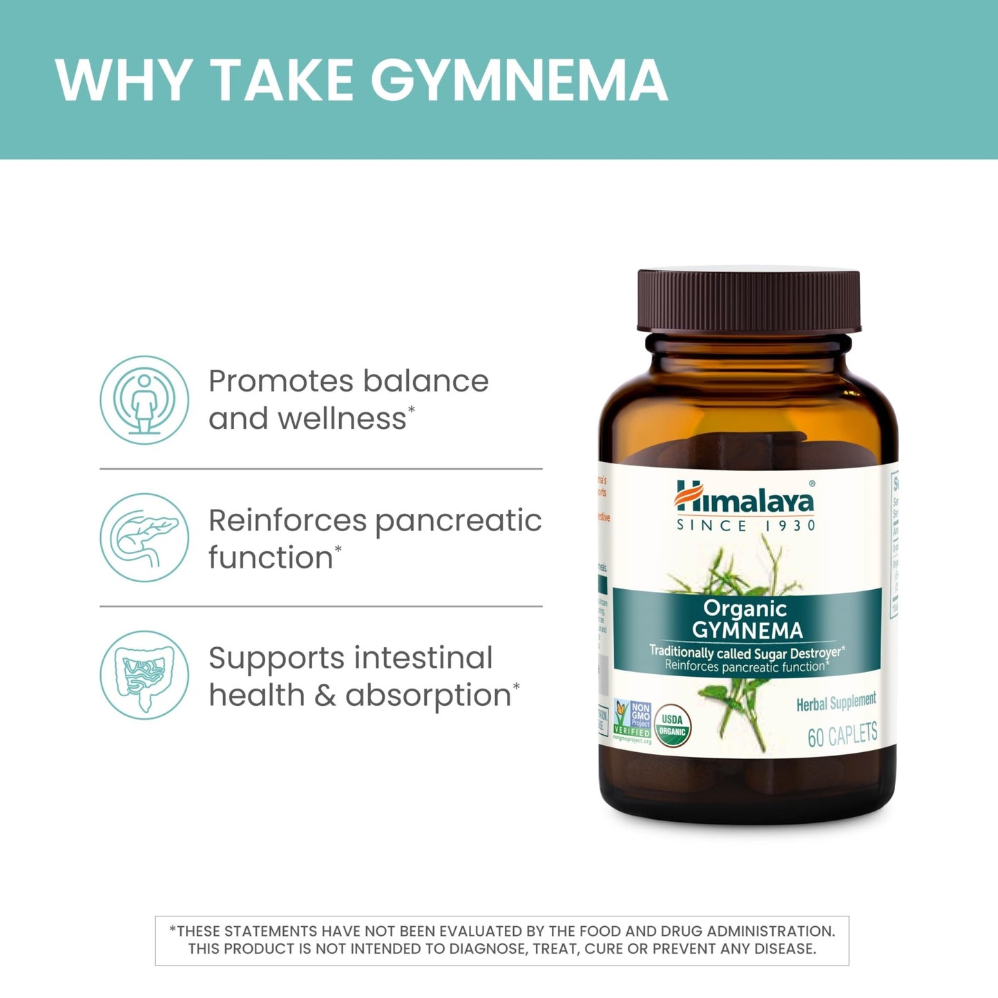 Himalaya Organic Gymnema Sylvestre – Herbal Glucose Metabolism Support - USDA Organic, Non-GMO, Vegan, Gluten Free, Additive Free, 700 mg, 60 Caplets - dailyvitalstore
