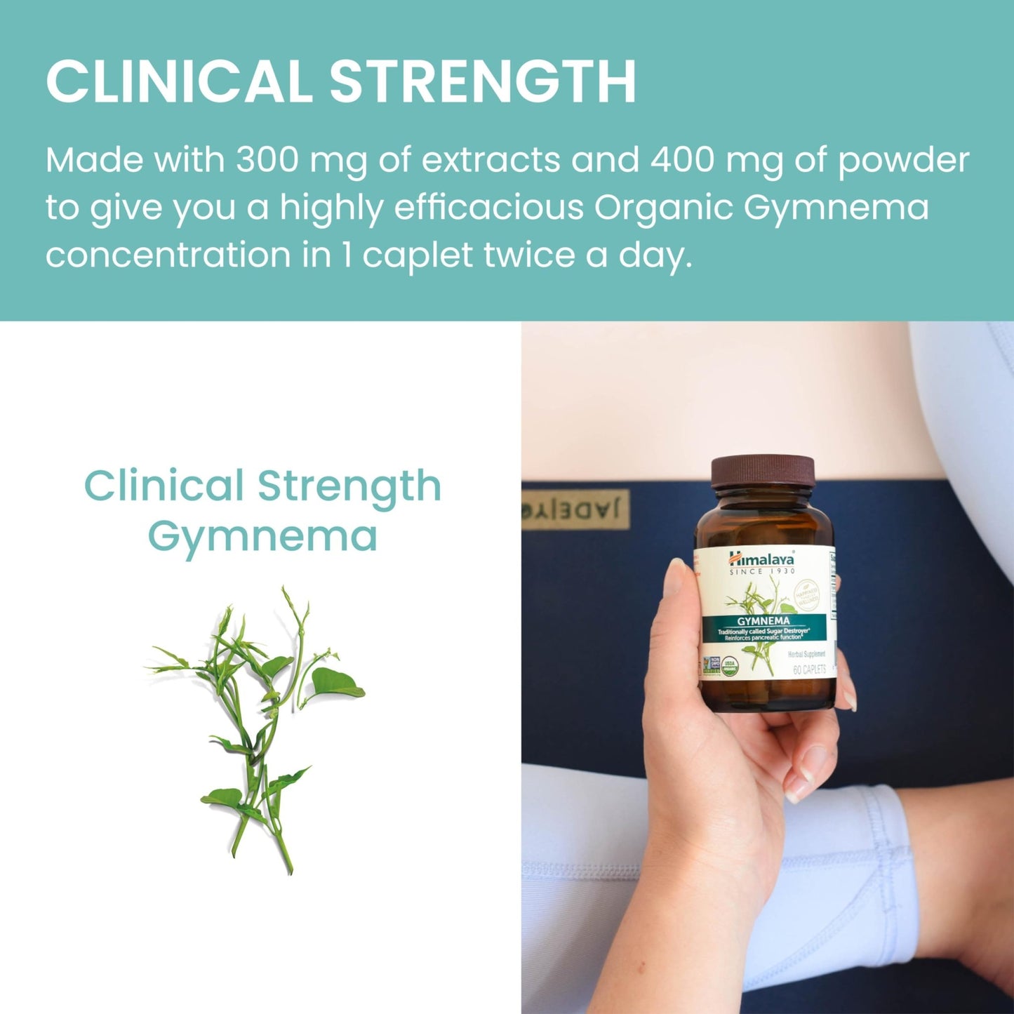 Himalaya Organic Gymnema Sylvestre – Herbal Glucose Metabolism Support - USDA Organic, Non-GMO, Vegan, Gluten Free, Additive Free, 700 mg, 60 Caplets - dailyvitalstore
