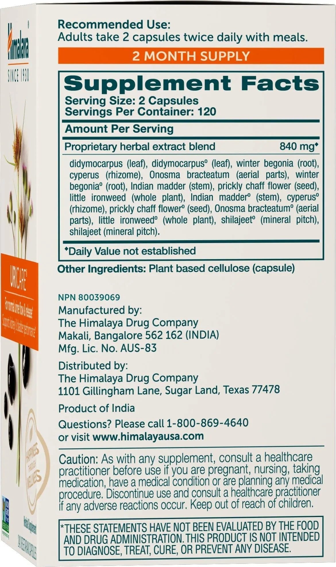 Himalaya UriCare Herbal Supplement, Kidney & Bladder Support, Urinary Tract & Urine Flow Support, Caffeine Free, Non-GMO, Gluten Free, Vegetarian, 240 Capsules, 60 Day Supply - dailyvitalstore