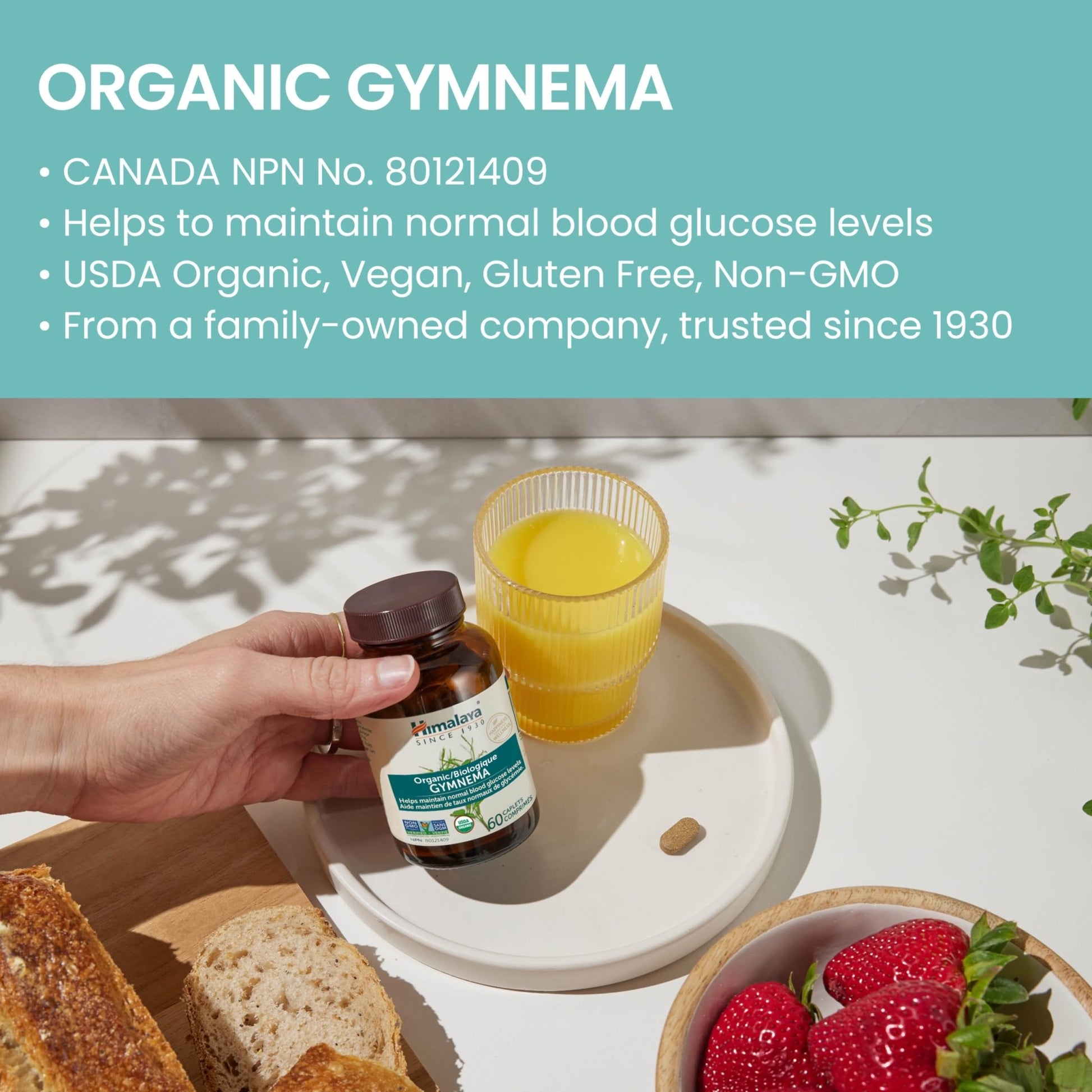 Himalaya USDA Organic Gymnema Sylvestre Extract 700mg,Gymnema Sylvestre Supplements,Herbal Glucose Metabolism Support,Gymnema Sylvestre Capsules,Non-GMO, Vegan - dailyvitalstore