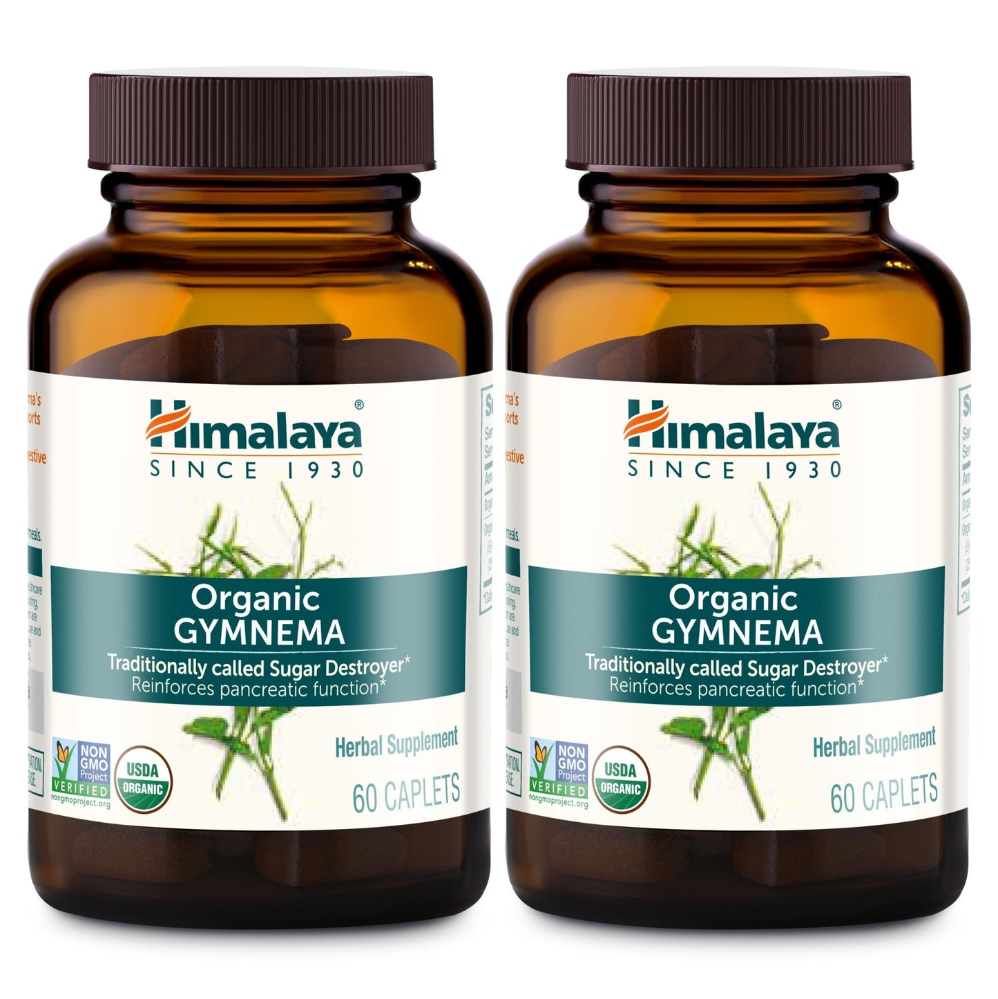 Himalaya USDA Organic Gymnema Sylvestre Extract 700mg,Gymnema Sylvestre Supplements,Herbal Glucose Metabolism Support,Gymnema Sylvestre Capsules,Non-GMO, Vegan - dailyvitalstore