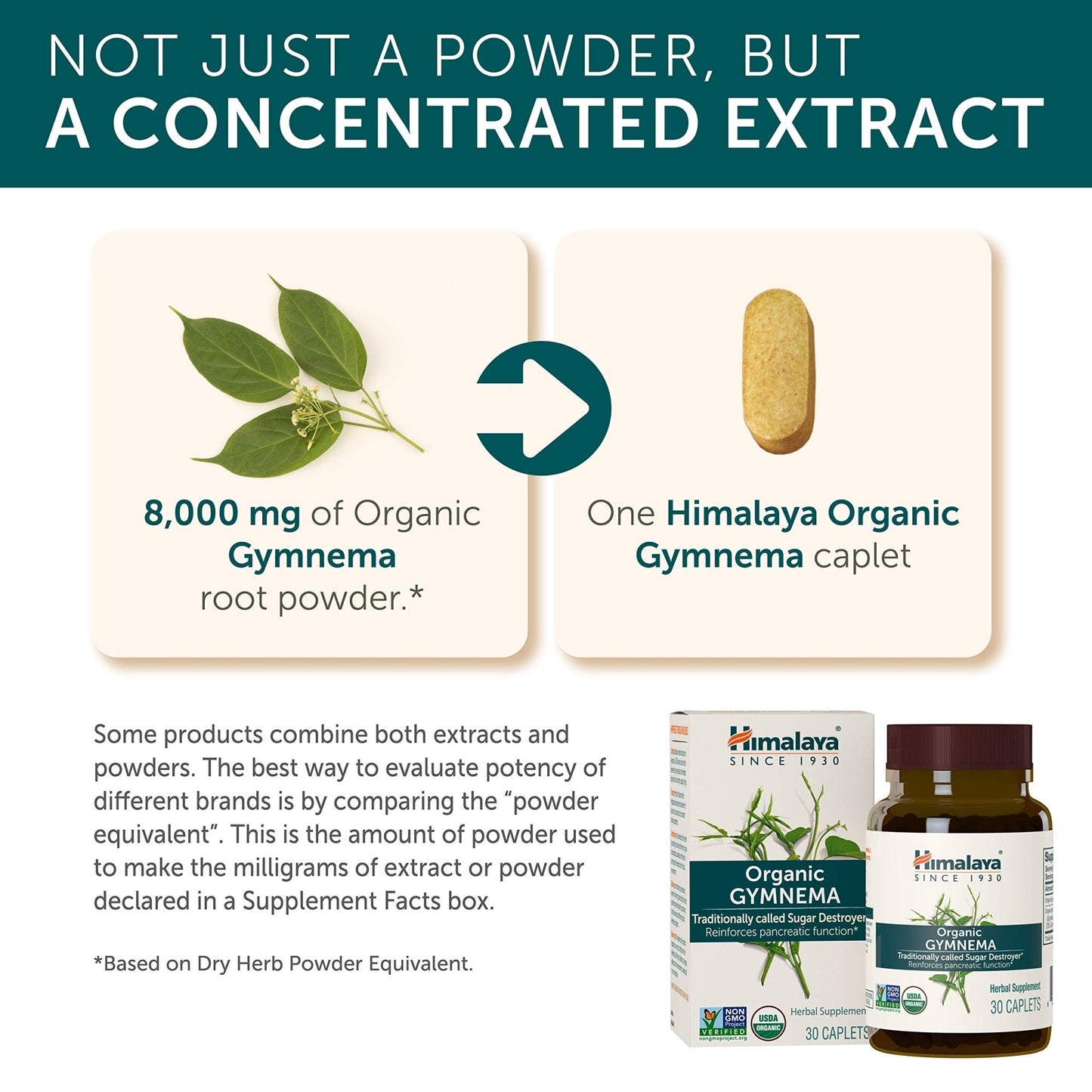 Himalaya USDA Organic Gymnema Sylvestre Extract 700mg,Gymnema Sylvestre Supplements,Herbal Glucose Metabolism Support,Gymnema Sylvestre Capsules,Non-GMO, Vegan - dailyvitalstore