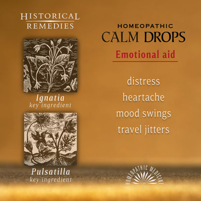 Historical Remedies Calm Drops Homeopathic Lozenges (6 Pack)| Natural Care for Emotional Relief, Vegan & Gluten-Free Organic Vanilla Flavor Drops to Promote Relaxation and a Sense of Calm - dailyvitalstore