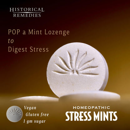 Historical Remedies Stress Mints (1 Pack) | Homeopathic Lozenges to Aid Stress & Digestion, Organic Peppermint Flavor, Vegan & Gluten-Free, Non-Habit Forming - dailyvitalstore