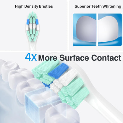 HOFAM Replacement Toothbrush Heads for Philips Sonicare Replacement Heads,Electric Replacement Brush Head Compatible with Phillips Sonicare Electric Toothbrush - dailyvitalstore
