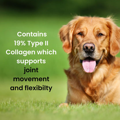 Hofseth BioCare Brilliant Bone & Joint Supplement for Dogs - High Strength Calcium & Collagen Powder for Joint & Hip Support, Essential Supplement for Dog’s of All Ages - 10.6 Oz - dailyvitalstore