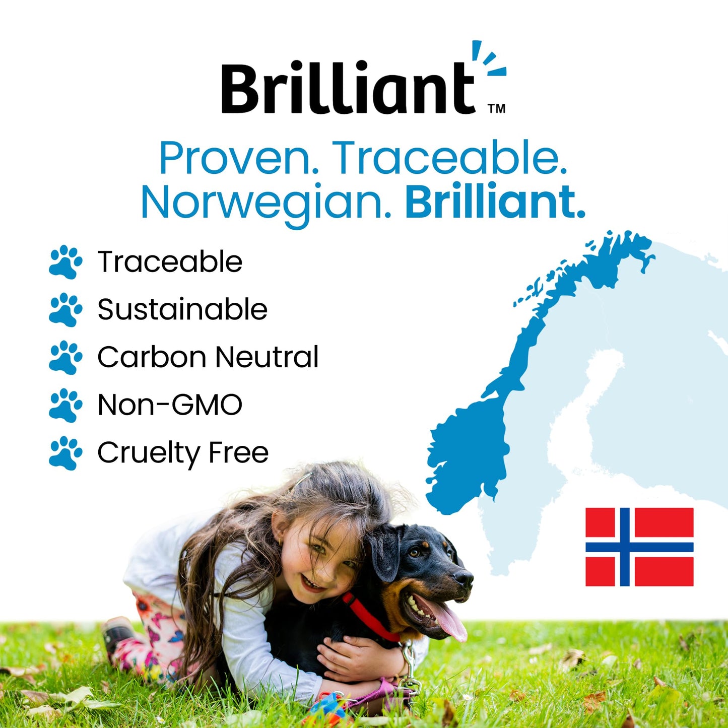 Hofseth BioCare Brilliant Bone & Joint Supplement for Dogs - High Strength Calcium & Collagen Powder for Joint & Hip Support, Essential Supplement for Dog’s of All Ages - 10.6 Oz - dailyvitalstore