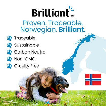 Hofseth BioCare Brilliant Bone & Joint Supplement for Dogs - High Strength Calcium & Collagen Powder for Joint & Hip Support, Essential Supplement for Dog’s of All Ages - 10.6 Oz - dailyvitalstore