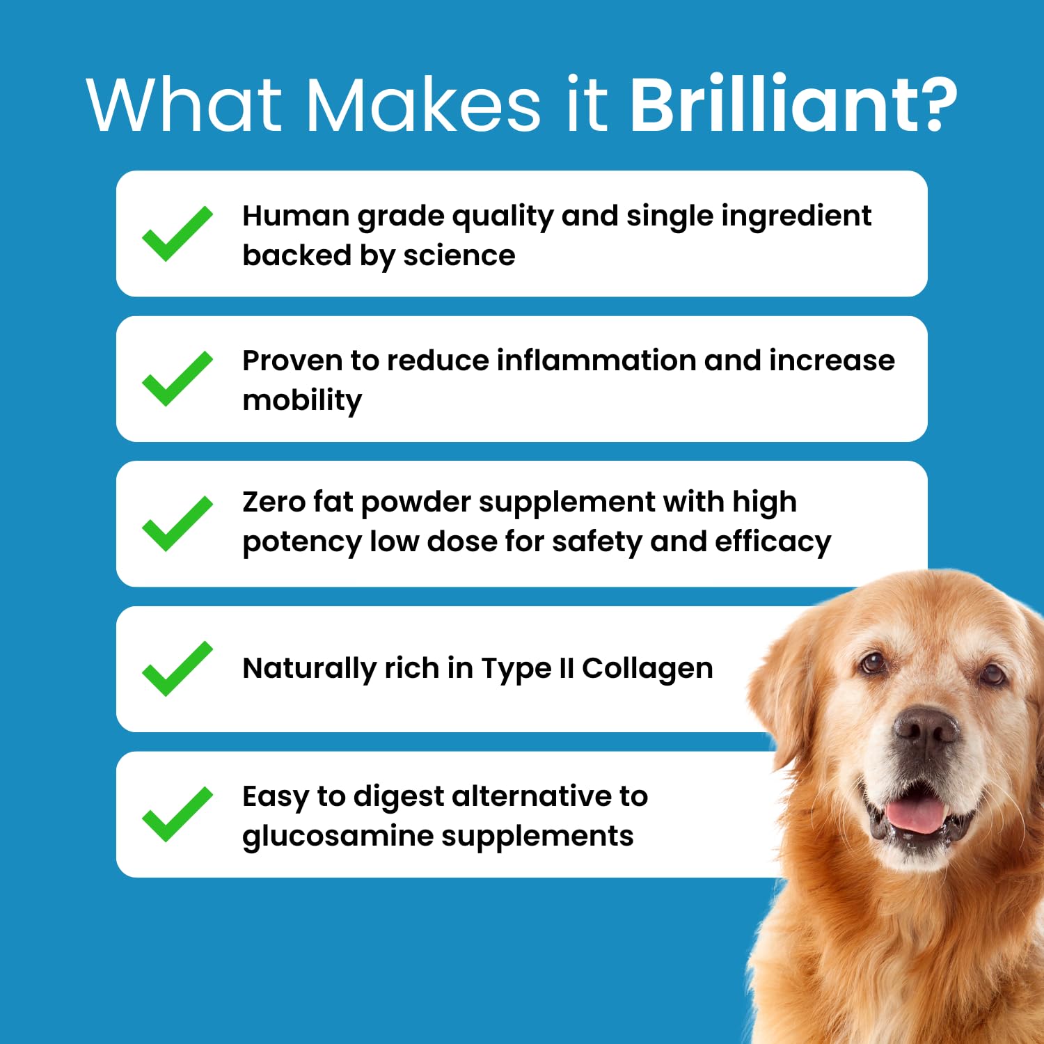 Hofseth BioCare Brilliant Bone & Joint Supplement for Dogs - High Strength Calcium & Collagen Powder for Joint & Hip Support, Essential Supplement for Dog’s of All Ages - 10.6 Oz - dailyvitalstore