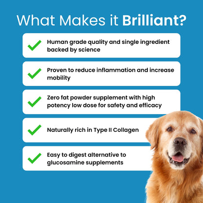 Hofseth BioCare Brilliant Bone & Joint Supplement for Dogs - High Strength Calcium & Collagen Powder for Joint & Hip Support, Essential Supplement for Dog’s of All Ages - 10.6 Oz - dailyvitalstore