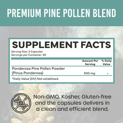 Holistic Bin Pine Pollen Capsules 500mg (Pinus Ponderosa) - Wild Harvested California Ponderosa Pine Pollen Powder - Olympic Grade - Organic, Non-GMO, No Fillers - 30 Day Supply (40 Capsules) - dailyvitalstore