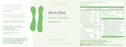 Holistic Health All in ONE Multi Vitamin and Mineral for Antioxidant Boost, Multi Minerals Supplement for Supporting Methylation - dailyvitalstore