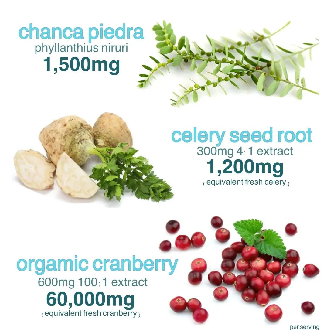 Holistic MD Stone Breaker Chanca Piedra 1,500mg Gummies Kidney Stones Cleanse Gallbladder Formula | Plus Cranberry Extract Might Help Urinary Tract Flush Impurities | Fast Absorption Sugar Free 60ct - dailyvitalstore