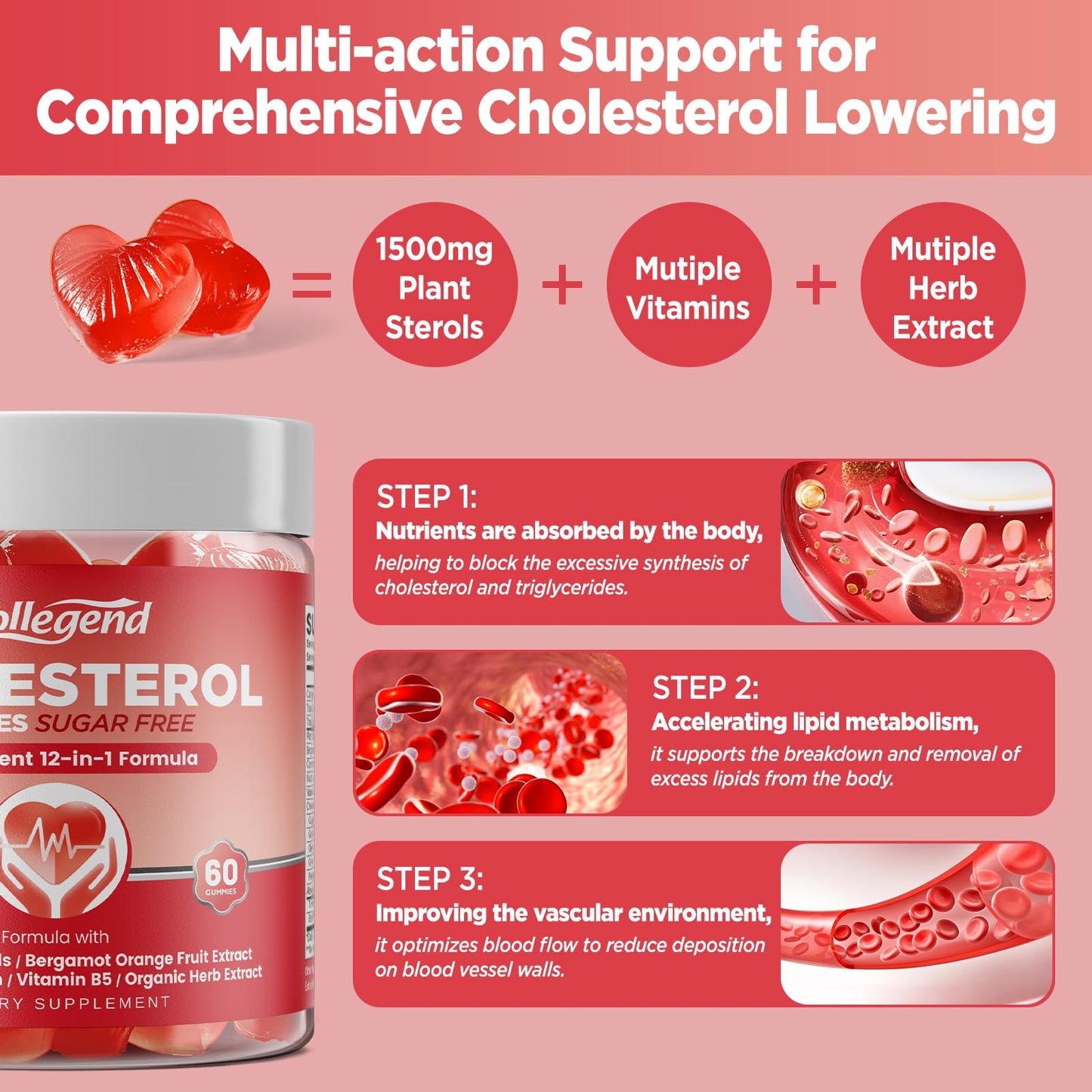 HOLLEGEND Cholesterol Gummies Sugar-Free,12-in-1 Cholesterol Supplements with Plant Sterols,Citrus Bergamot,CoQ10 and Vitamins for Cholesterol Health, Vegan, Mixed Berry Flavor, 60 Counts - dailyvitalstore