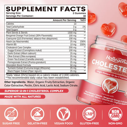 HOLLEGEND Cholesterol Gummies Sugar-Free,12-in-1 Cholesterol Supplements with Plant Sterols,Citrus Bergamot,CoQ10 and Vitamins for Cholesterol Health, Vegan, Mixed Berry Flavor, 60 Counts - dailyvitalstore