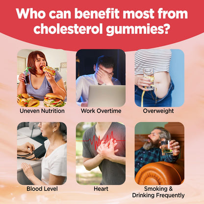 HOLLEGEND Cholesterol Gummies Sugar-Free,12-in-1 Cholesterol Supplements with Plant Sterols,Citrus Bergamot,CoQ10 and Vitamins for Cholesterol Health, Vegan, Mixed Berry Flavor, 60 Counts - dailyvitalstore