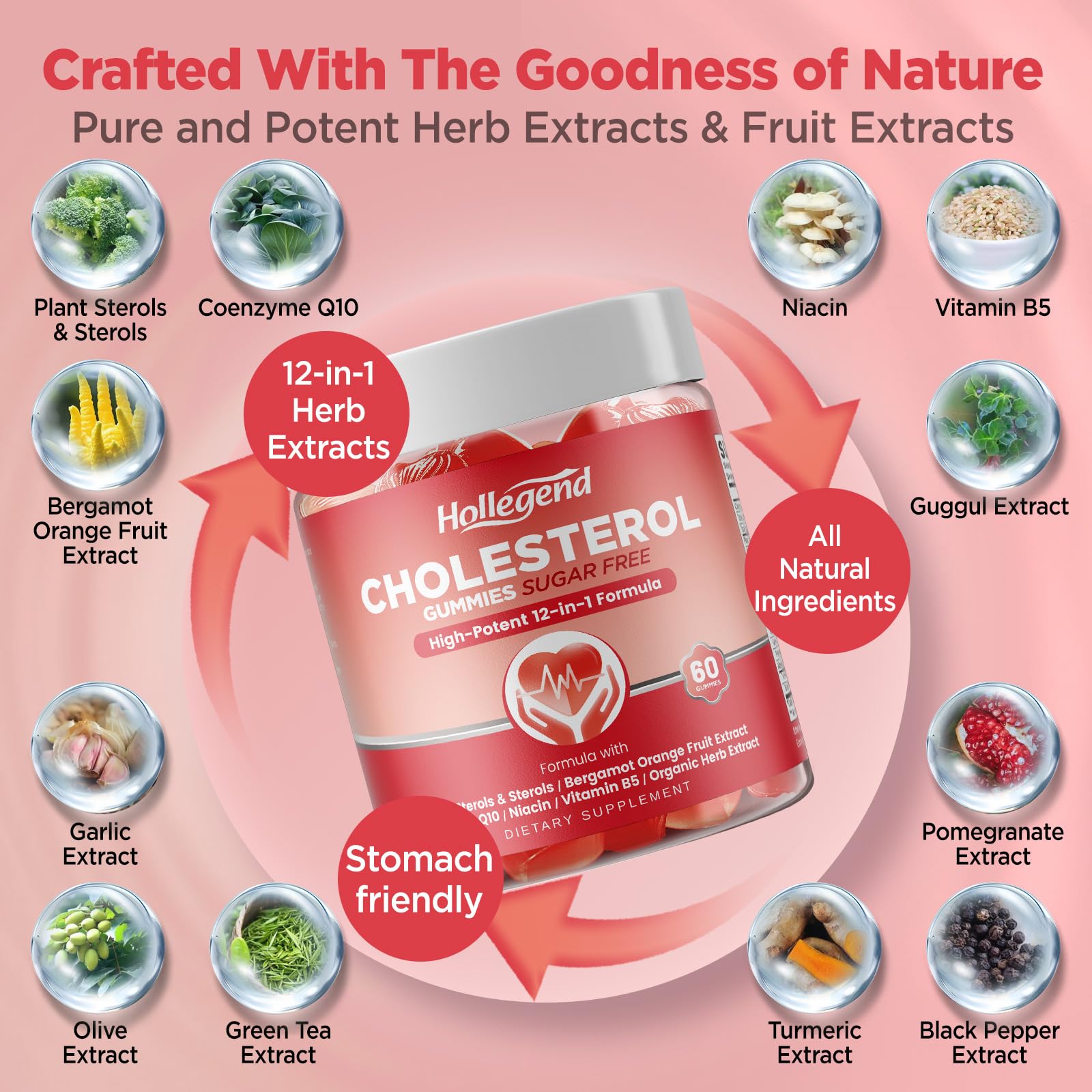 HOLLEGEND Cholesterol Supplements Gummies Sugar Free, 1500mg Plant Sterols for Cholesterol Health, Plus Citrus Bergamot, CoQ10 & Vitamins for Heart Health, Vegan, Mixed Berry Flavor, 60 Chewables - dailyvitalstore