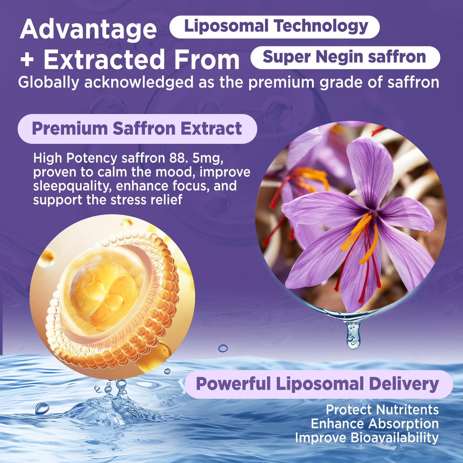 HOLLEGEND Liposomal Saffron Drops for Kids & Adults, Organic Saffron Supplement w/Magnesium, L-Theanine and Vitamins for Stress, Focus, Vision and Energy Support, Vegan, Natural Lemon Flavor, 2 FL OZ - dailyvitalstore