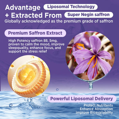 HOLLEGEND Liposomal Saffron Drops for Kids & Adults, Organic Saffron Supplement w/Magnesium, L-Theanine and Vitamins for Stress, Focus, Vision and Energy Support, Vegan, Natural Lemon Flavor, 2 FL OZ - dailyvitalstore
