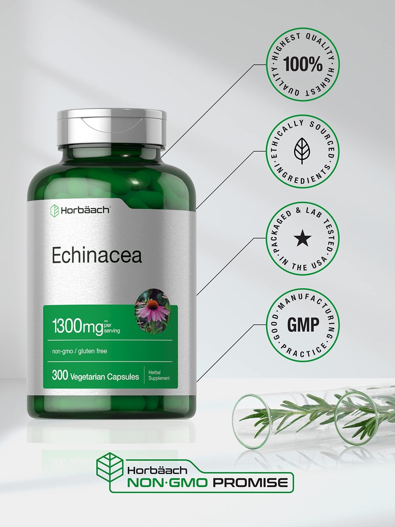 Horbäach Echinacea Extract Capsules | 300 Count | Vegan, Non-GMO, Gluten Free Supplement - dailyvitalstore