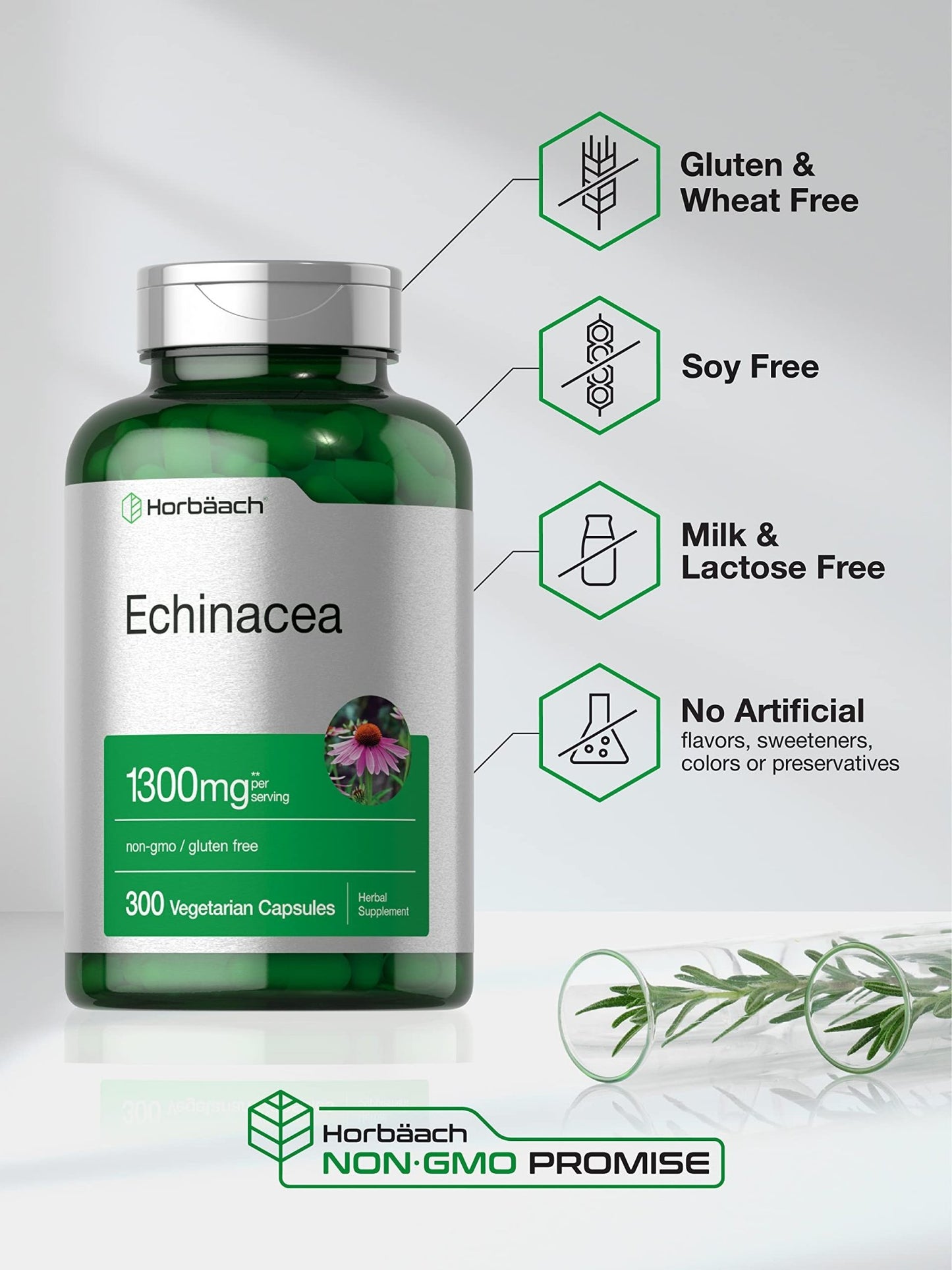 Horbäach Echinacea Extract Capsules | 300 Count | Vegan, Non-GMO, Gluten Free Supplement - dailyvitalstore