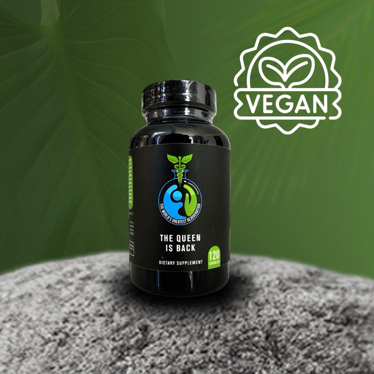 Hormonal Balance & Reproductive Health Support for Women, IVF Success, Metabolic & Bone Health, with Bioavailable Folate, Vitamin D3, and Inositols – Family-Owned, All-Natural Formula - dailyvitalstore