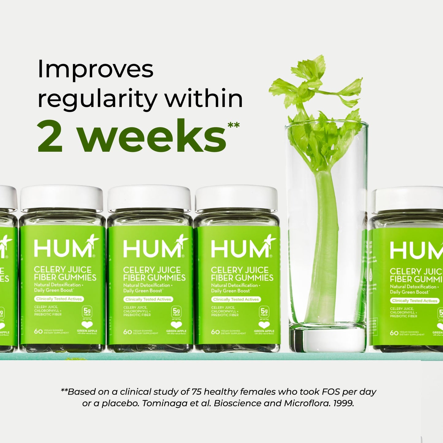 HUM Celery Juice Fiber Gummies for Adults, First Prebiotic Celery Juice Gummy, Gluten Free Fiber Supplement Supports Detoxification, Gut Health, Greens Gummies, Chlorophyll & Prebiotic Fiber, 60 Count - dailyvitalstore