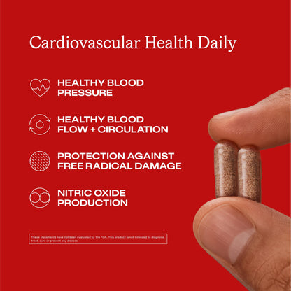 Humann Cardiovascular Health Daily, 4-in-1 Vascular & Blood Pressure Support, Grape Seed Extract Capsules & Hyaluronic Acid Circulation Supplements, Plant-Based Non-GMO, 60 Capsules - dailyvitalstore