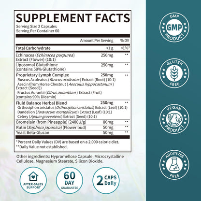 iMATCHME Lymphatic Drainage Supplements for Lymph System Support, Detox & Cleanse, Liver Health,Fluid Balance, Immune Support, Natural Herbal Blends with Echinacea, Liposomal Glutathione, 60 Capsules - dailyvitalstore