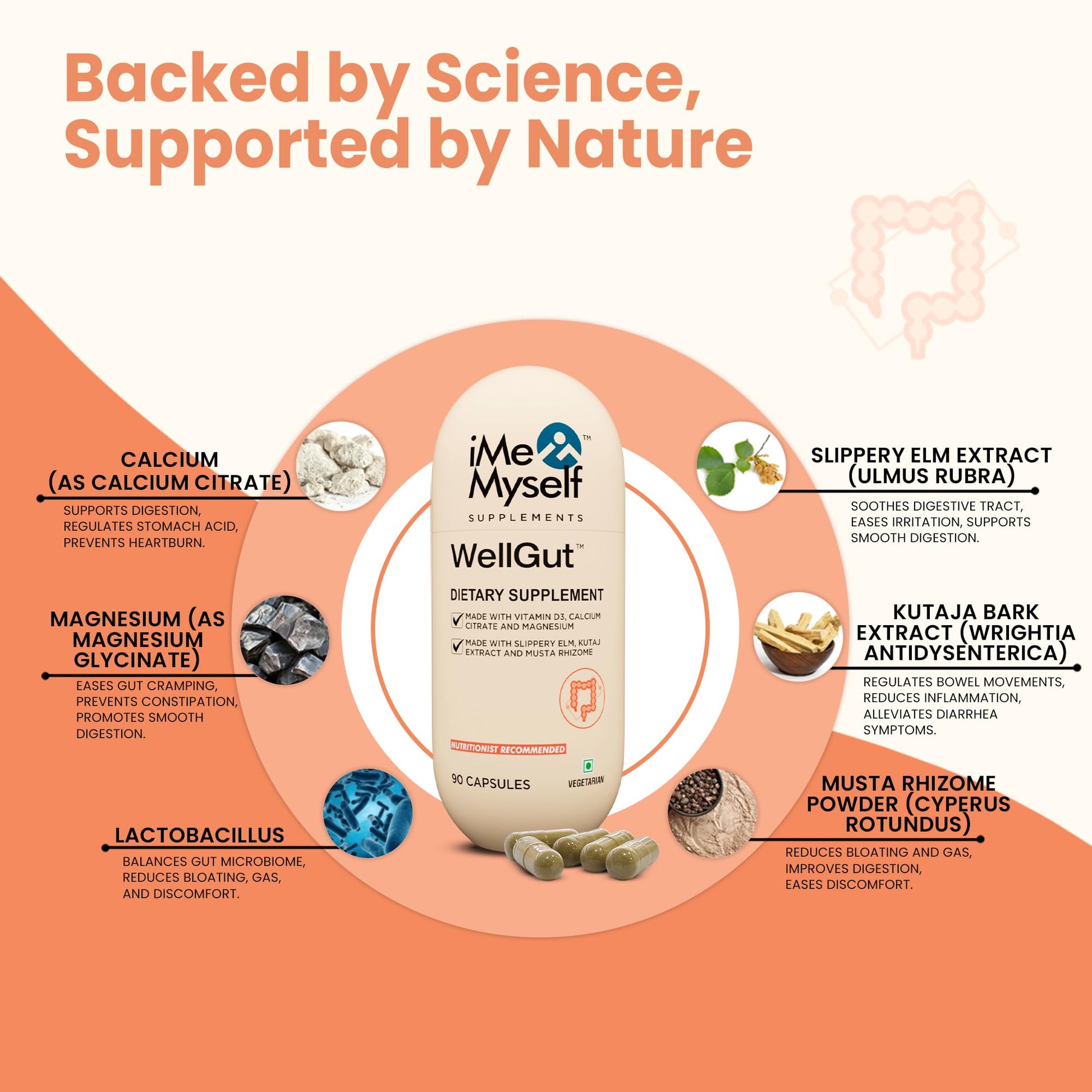 iMeMyself WellGut Daily Herbal Supplement | Traditional Herbs with Minerals & Probiotics 90 Vegan Capsules - dailyvitalstore