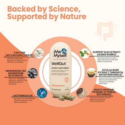iMeMyself WellGut Daily Herbal Supplement | Traditional Herbs with Minerals & Probiotics 90 Vegan Capsules - dailyvitalstore