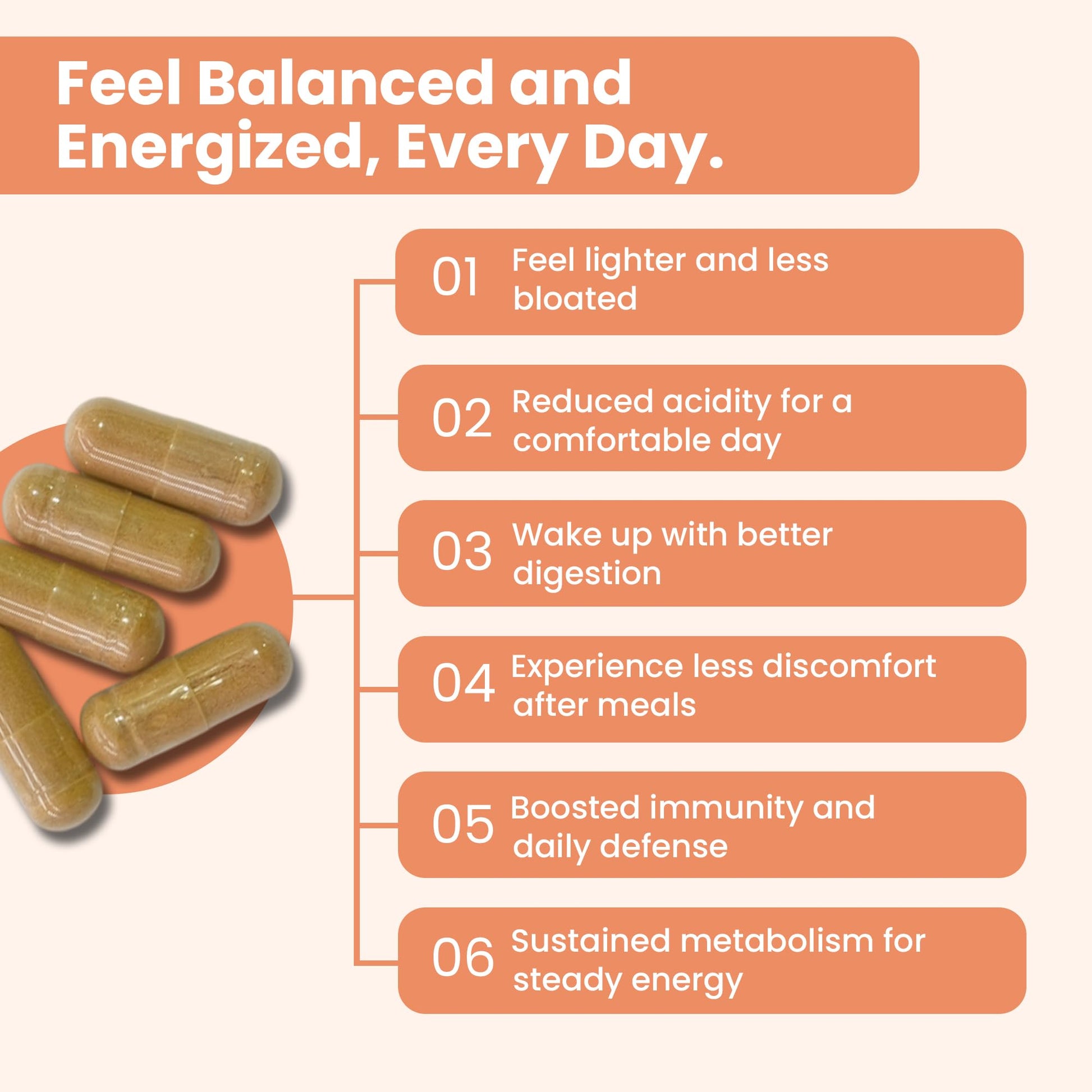 iMeMyself WellGut Daily Herbal Supplement | Traditional Herbs with Minerals & Probiotics 90 Vegan Capsules - dailyvitalstore