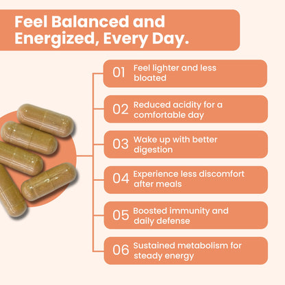 iMeMyself WellGut Daily Herbal Supplement | Traditional Herbs with Minerals & Probiotics 90 Vegan Capsules - dailyvitalstore