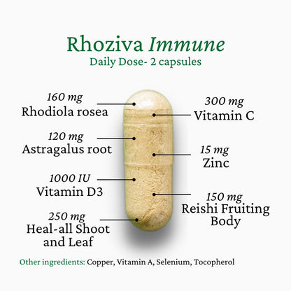Immune Support, Energy Booster with Vitamin C, D3 and Zinc Supplement, Rhodiola Rosea, Reishi Mushroom Extract, Astragalus, Overall Wellness and Daily Habit - 60 Capsules - dailyvitalstore
