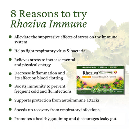 Immune Support, Energy Booster with Vitamin C, D3 and Zinc Supplement, Rhodiola Rosea, Reishi Mushroom Extract, Astragalus, Overall Wellness and Daily Habit - 60 Capsules - dailyvitalstore