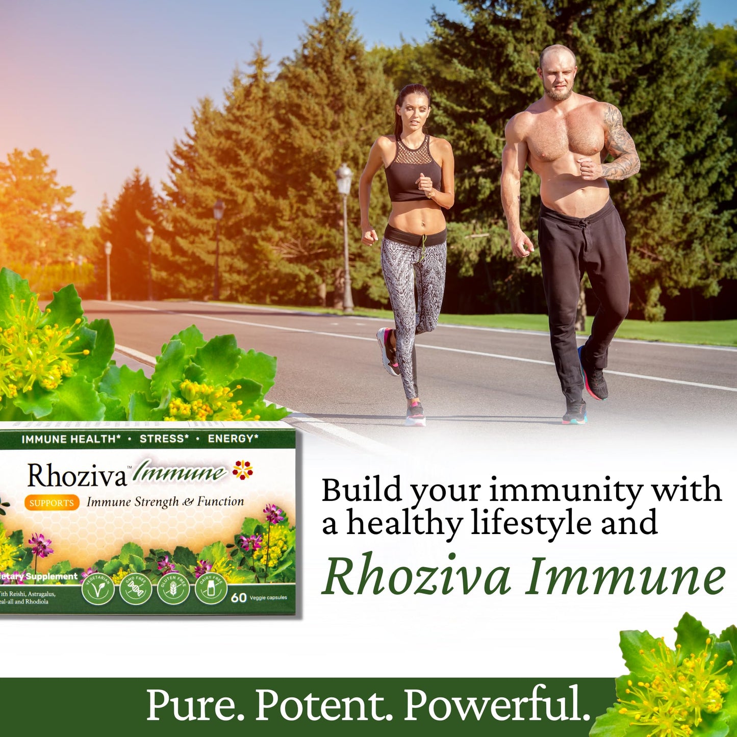 Immune Support, Energy Booster with Vitamin C, D3 and Zinc Supplement, Rhodiola Rosea, Reishi Mushroom Extract, Astragalus, Overall Wellness and Daily Habit - 60 Capsules - dailyvitalstore