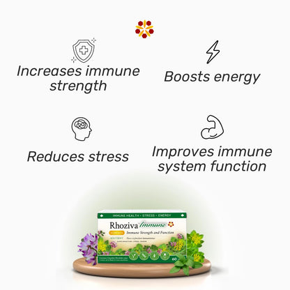 Immune Support, Energy Booster with Vitamin C, D3 and Zinc Supplement, Rhodiola Rosea, Reishi Mushroom Extract, Astragalus, Overall Wellness and Daily Habit - 60 Capsules - dailyvitalstore