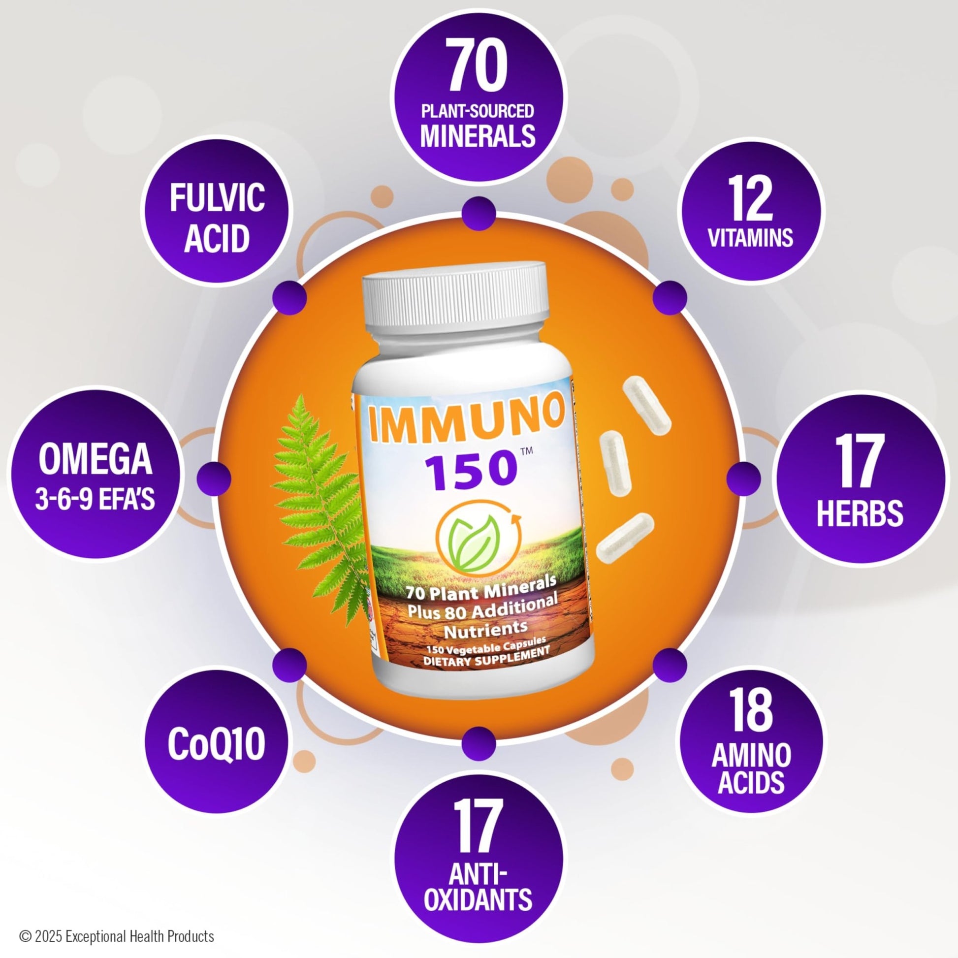 Immuno 150, Immune Support Supplement, Packed with 70 Plant Minerals, 13 Essential Vitamins and 68 Additional Nutrients-150 Vegetable Capsules- Immune Boost for All Age Groups - dailyvitalstore