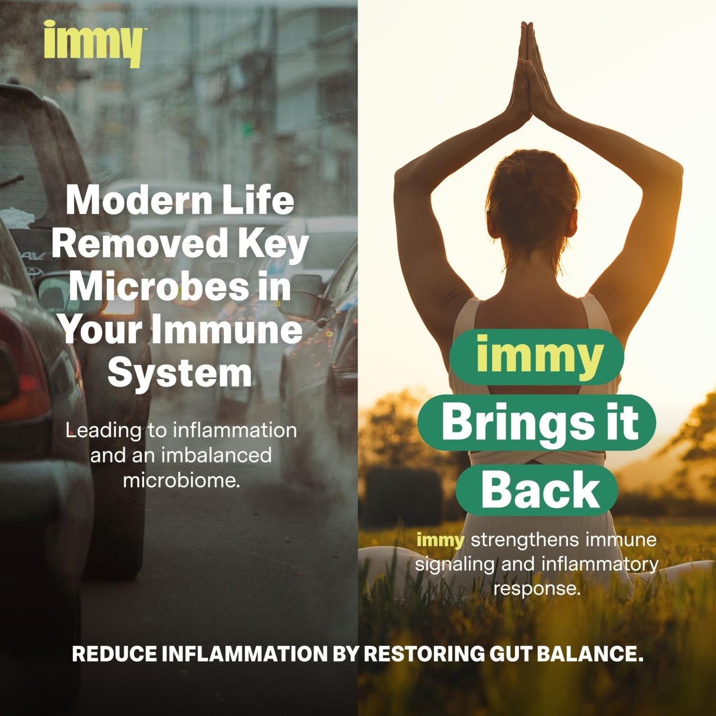 IMMY Doctor-Developed Inflammation Support - 90 Capsules - Supports Healthy Inflammatory Response & Immune Resilience - dailyvitalstore