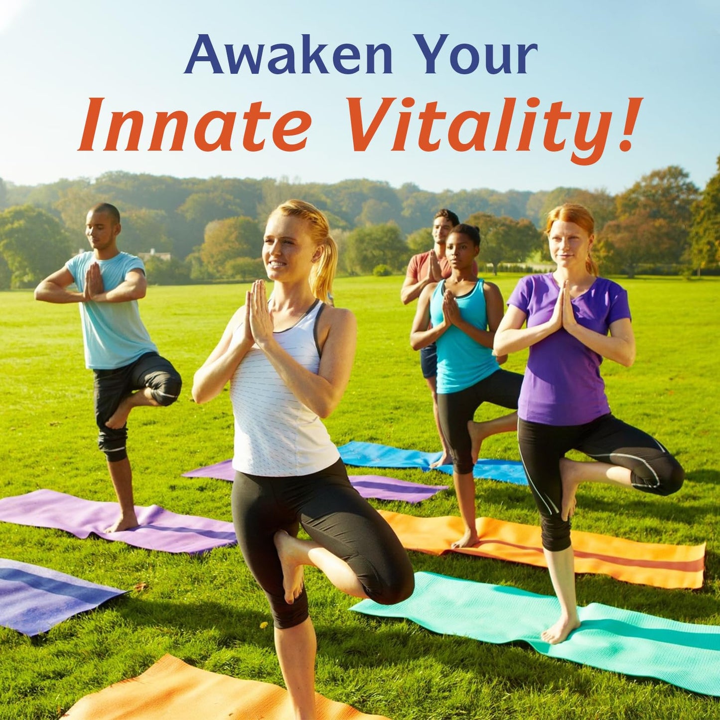 Innate Vitality 10-in-1 Magnesium Complex 960mg, 420mg Elemental Mag per Serving, with Magnesium Glycinate, Citrate, Malate, and More, Sleep, Digestion, Energy Support, 90 Vegan Caps - dailyvitalstore