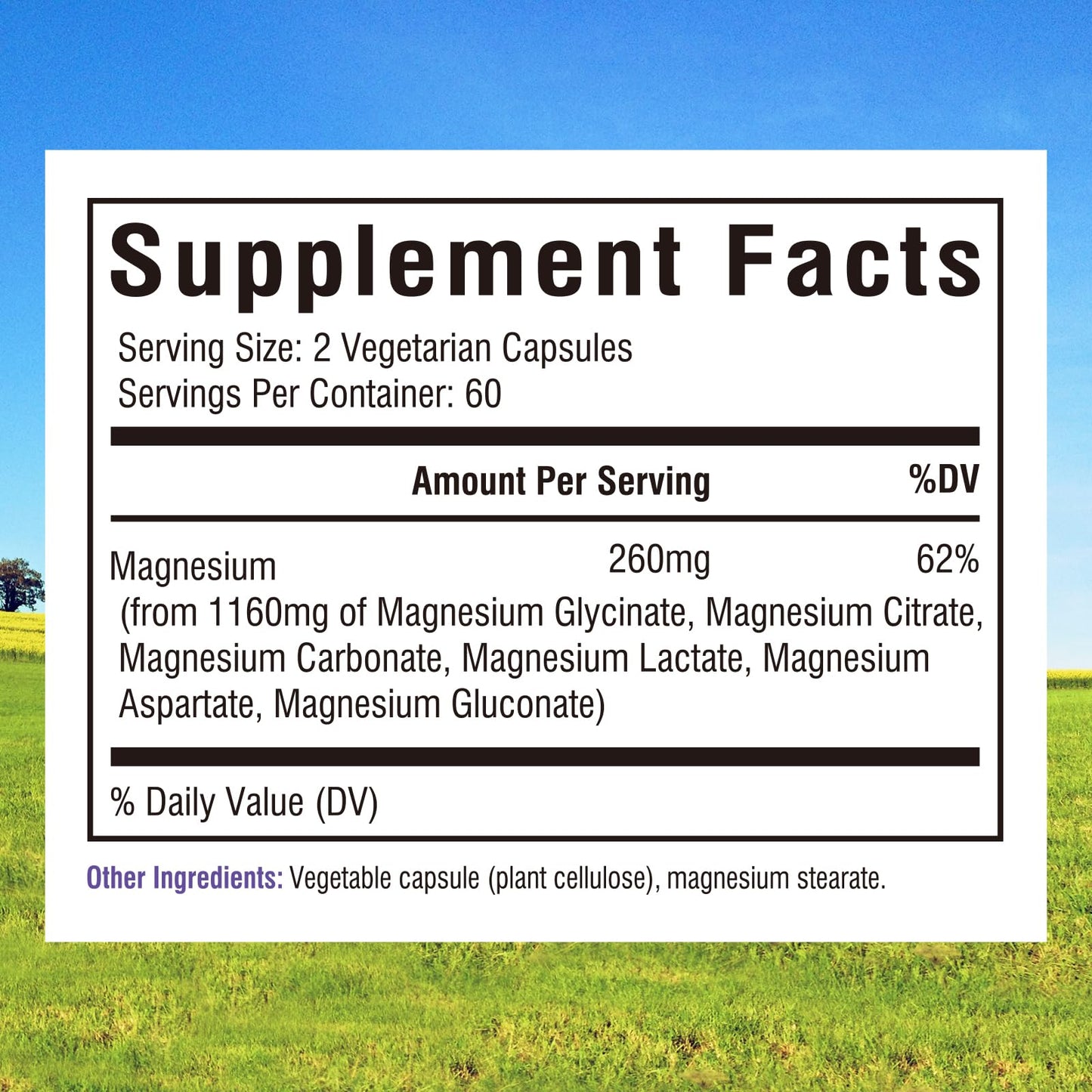 Innate Vitality Magnesium Complex 6-in-1, 1160mg Per Serving, Rest & Digestion, Magnesium Glycinate & Citrate, High Absorption, 120 Vegan Capsules - dailyvitalstore