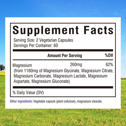 Innate Vitality Magnesium Complex 6-in-1, 1160mg Per Serving, Rest & Digestion, Magnesium Glycinate & Citrate, High Absorption, 120 Vegan Capsules - dailyvitalstore
