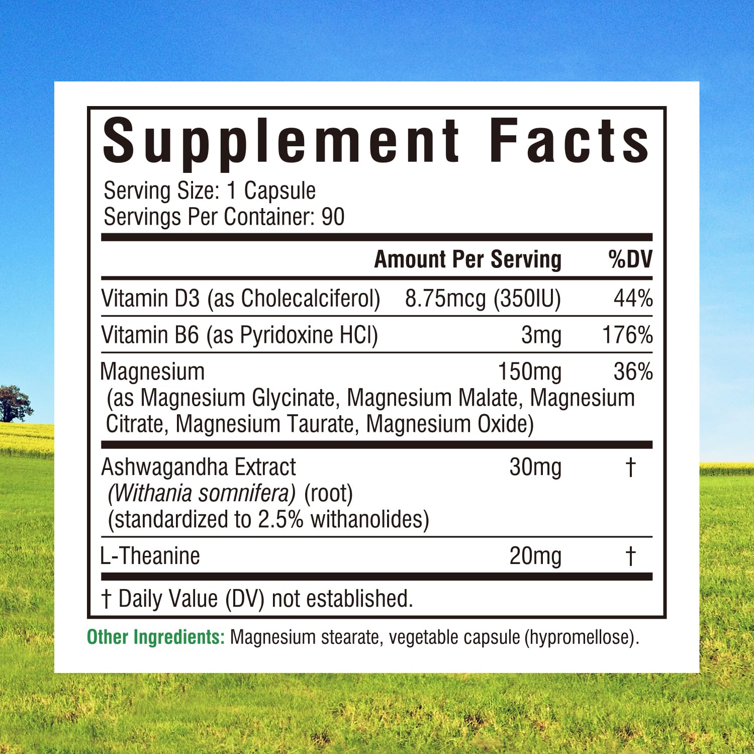 Innate Vitality Magnesium Complex, Magnesium Glycinate Citrate Malate Taurate with Ashwagandha L-Theanine Vitamin D3 & B6, High Absorption, Full Spectrum, Bones Stress Sleep Support, 90 caps - dailyvitalstore
