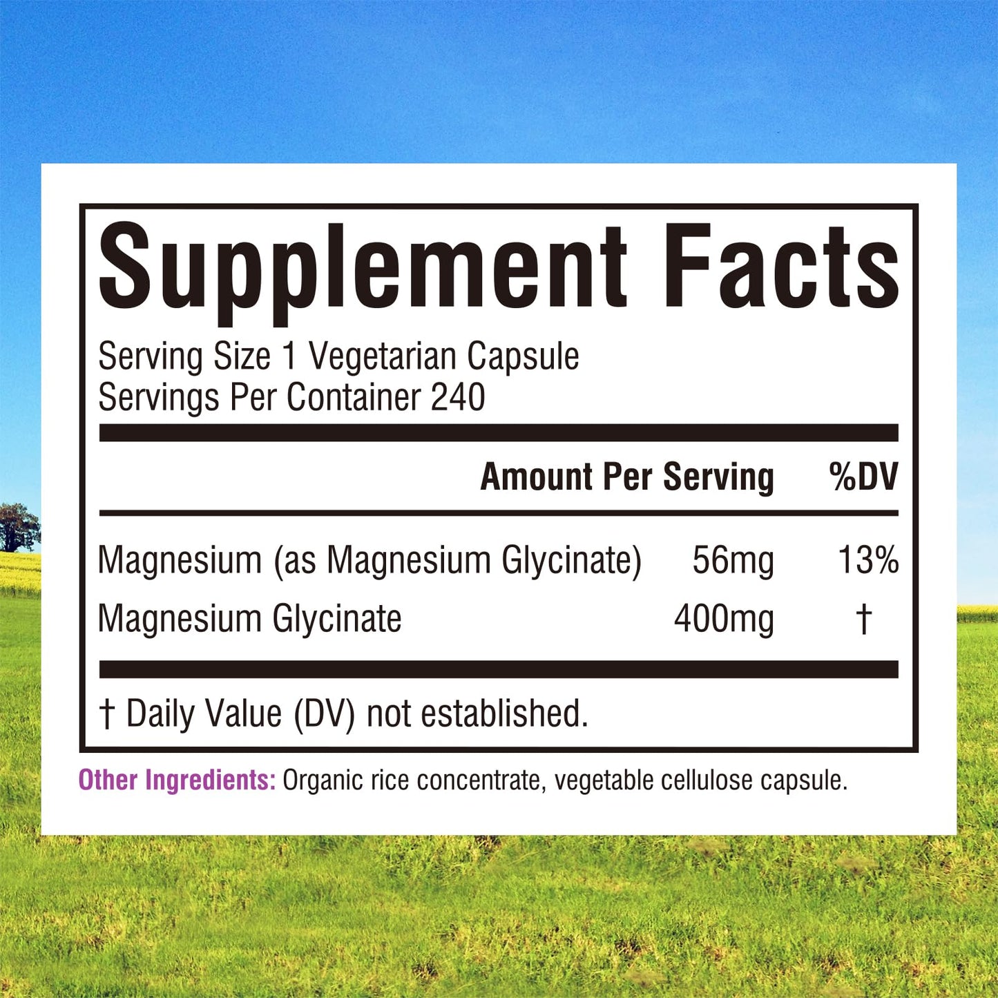 Innate Vitality Magnesium Glycinate 400mg, Non Buffered & High Absorption Magnesium Supplement for Sleep, Relaxation, Heart & Bone Health for Men & Women, Non-GMO, No Gluten, 240 Vegan Capsules - dailyvitalstore