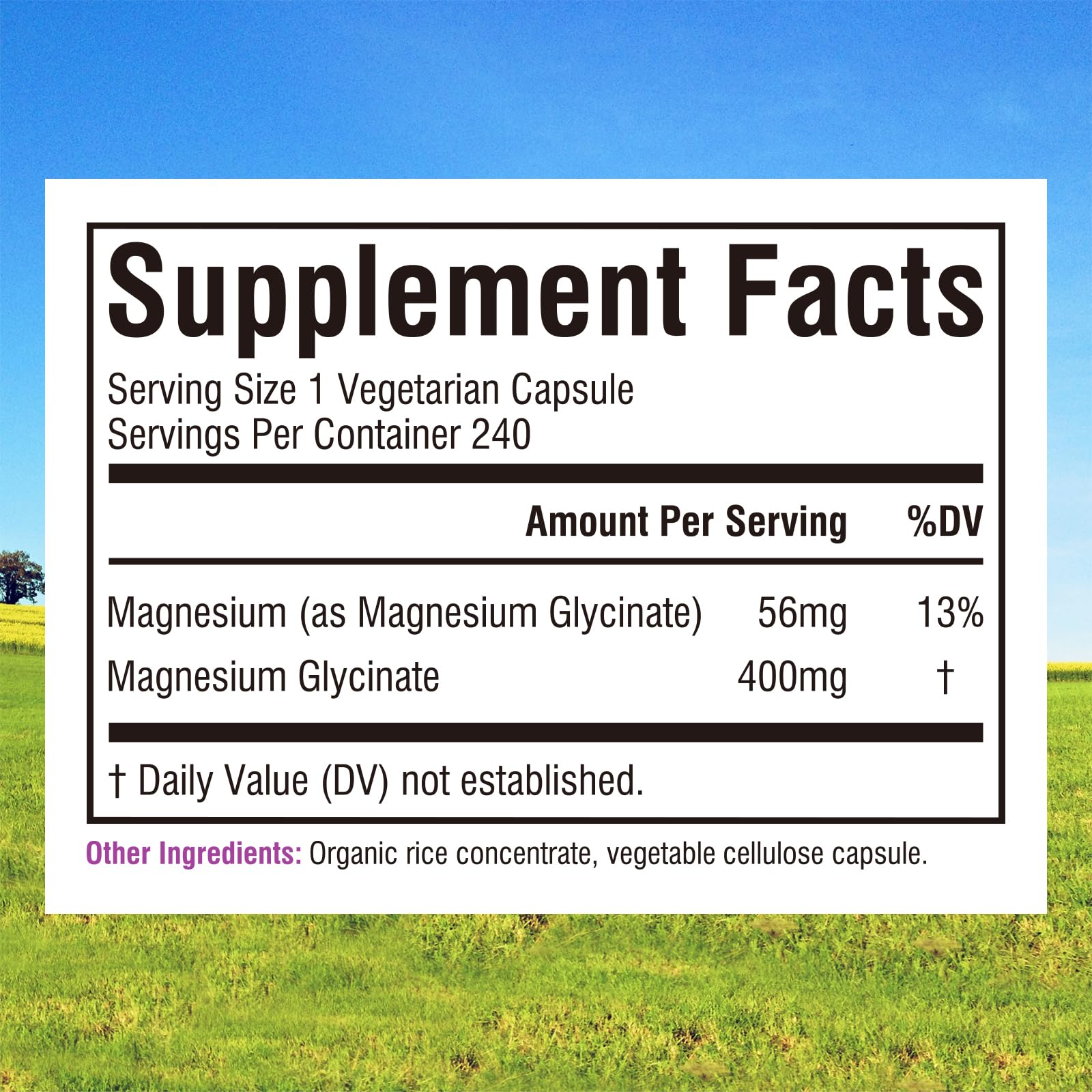 Innate Vitality Magnesium Glycinate 400mg, Non Buffered & High Absorption Magnesium Supplement for Sleep, Relaxation, Heart & Bone Health for Men & Women, Non-GMO, No Gluten, 240 Vegan Capsules - dailyvitalstore