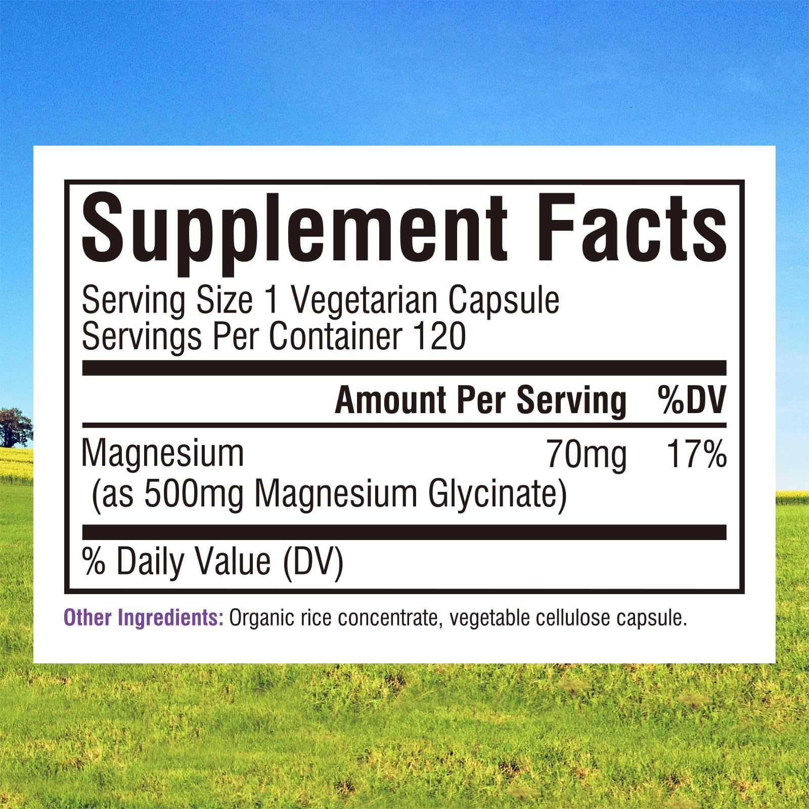 Innate Vitality Magnesium Glycinate 500mg | 70mg Elemental Magnesium Supplement - High Absorption, Non Buffered, Non-GMO & No Gluten - Vegan - Nerve Health - 120 Capsules (Pack of 1) - dailyvitalstore