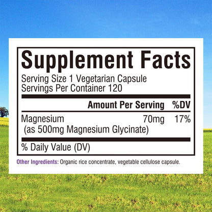 Innate Vitality Magnesium Glycinate 500mg | 70mg Elemental Magnesium Supplement - High Absorption, Non Buffered, Non-GMO & No Gluten - Vegan - Nerve Health - 120 Capsules (Pack of 1) - dailyvitalstore